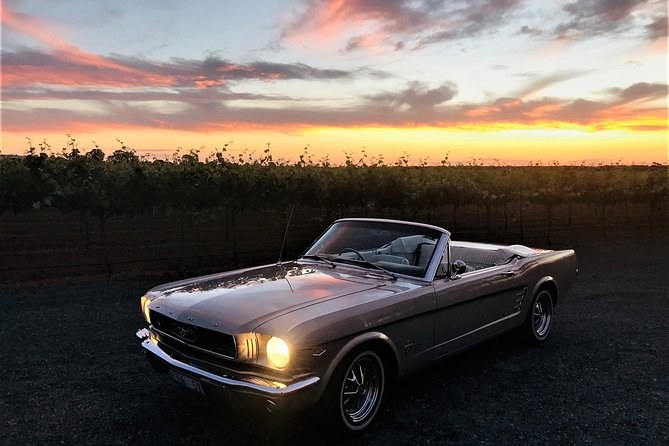 A silver 1960s convertible with its headlights on, parked in front of vines at sunset