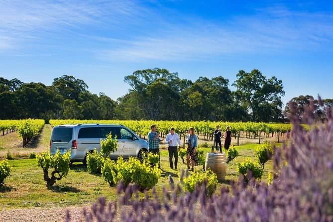 A small group standing among old vines with a barrel, lavender in the foreground