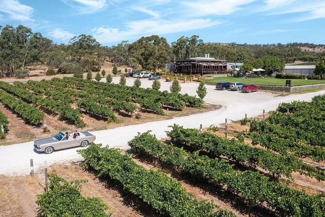 Rows of vines from the air, a classic convertible on the gravel drive to a cellar door